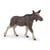 Figurine Papo - Elan femelle 50310