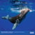 Calendrier mural 2026 Pictura - Mammifères marins - 30 x 30 cm
