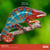 Calendrier mural 2026 Pictura - Reptiles - 30 x 30 cm