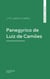 Panegyrico de Luiz de Camões
