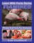 Flamingo Photos and Facts for Everyone - Learn With Facts Series, #44