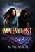Malevolent - The Puzzle Box Trilogy, #1