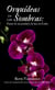 Orquídeas en las sombras: Entre la oscuridad y la luz en Cuba
