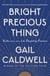 Bright Precious Thing - Reflections on a Life Shaped by Feminism