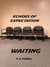 Echoes of Expectation: Waiting.