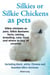 Silkies or Silkie Chickens as pets. Silkie chickens as pets.  Silkie Bantams facts, raising, breeding, care, food and where to buy all covered. Including black, white, Chinese and bearded silkie chick