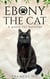 Ebony the Cat - A Quest for Survival