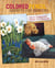 Colored Pencil Secrets for Success - How to Critique and Improve Your Paintings