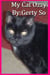 My Cat Ozzy