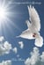 Give It Wings And Let It Fly Away