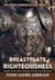 Breastplate Of Righteousness (Guard Your Heart Against Satan’s Accusations) - The Whole Armour of God, #2