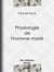 Physiologie de l'homme marié