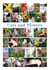 Cats and Flowers - 35 children song games