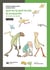 Qué es (y qué no es) la evolución - El círculo de Darwin