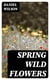 Spring Wild Flowers