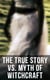 The True Story vs. Myth of Witchcraft - 25 Books of Sorcery, Demonology & Supernatural: The Wonders of the Invisible World, Witch Stories…