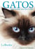 Gatos - Como escolher uma raça e cuidar