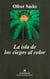 La isla de los ciegos al color