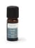 Parfum pour savon Graine créative - Marine - 10 mL