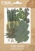 Lot de 21 fleurs pressées naturelles Graine créative