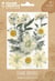 Lot de 15 fleurs pressées naturelles Graine créative - Prairie - Blanc