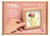 Kit Fimo Graine Créative - Cadre miniature arrosoir