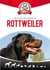 Tout ce qu'il faut savoir sur le Rottweiler