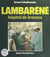 Lambaréné - Hôpital de brousse