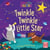 Twinkle Twinkle Little Star - A baby sing-along book