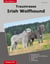 Traumrasse Irish Wolfhound
