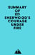 Summary of Ed Sherwood's Courage Under Fire