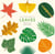 The Little Guide to Leaves