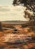 Flying Australia: A Practical Guide for EASA Private Pilots - How to Legally and Confidently Exercise PIC Privileges in Australian Skies