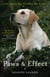 Paws & Effect - The Healing Power of Dogs
