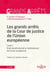 Les grands arrêts de la Cour de justice de l'Union européenne 2ed - Droit constitutionnel et institutionnel de l'Union européenne