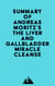 Summary of Andreas Moritz's The Liver and Gallbladder Miracle Cleanse