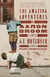 The Amazing Adventures of Aaron Broom - A Novel
