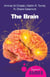 The Brain - A Beginner's Guide