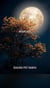 Moonlight - African Poetry, #1