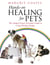 Hands-On Healing For Pets - The Animal Lover's Essential Guide To Using Healing Energy