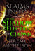 In the Shadow of the Electric Clown - Realms Unseen