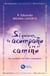 Si quieres, te acompaño en el camino - Ser mediador del Dios compañero