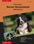 Traumrasse Berner Sennenhund - (Dürrbächler)