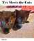 Big Tex & Friends: Tex Meets the Cats - Water Color Style
