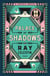 Palace of Shadows - A Spine-Chilling Historical Thriller from the Author of the City Blues Quartet