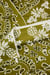 Tissu voile coton Promod - 300 x 137 cm - Bandana kaki
