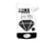 Aladine iZink DIAMOND - Peinture - noir - 80 ml