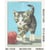 Kit canevas Chat et pelote - 15 x 20 cm