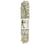 Sauge blanche californie 22cm