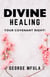 Divine Healing